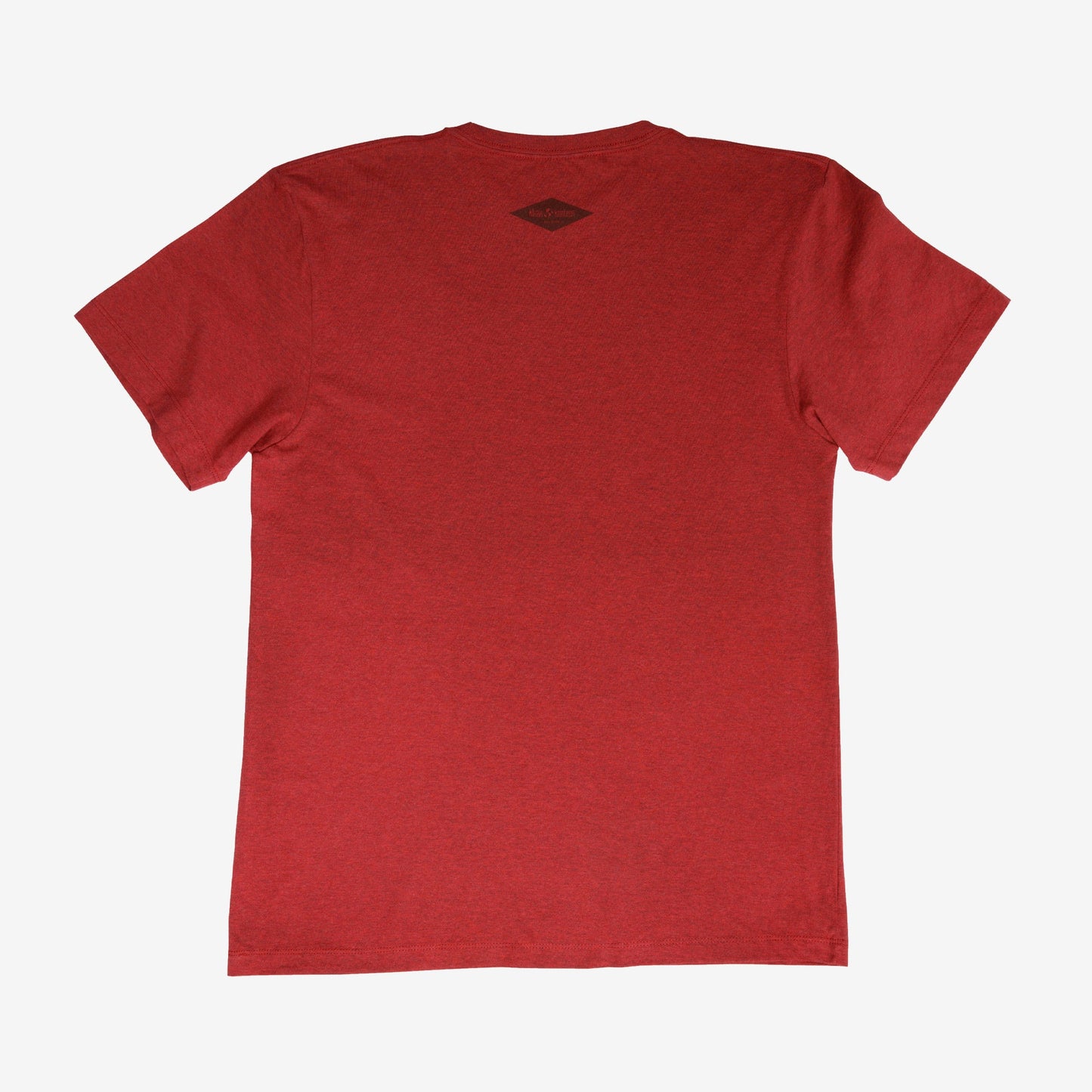 backyard-t-shirt-g8 Shirt_Mtn_Back.jpg