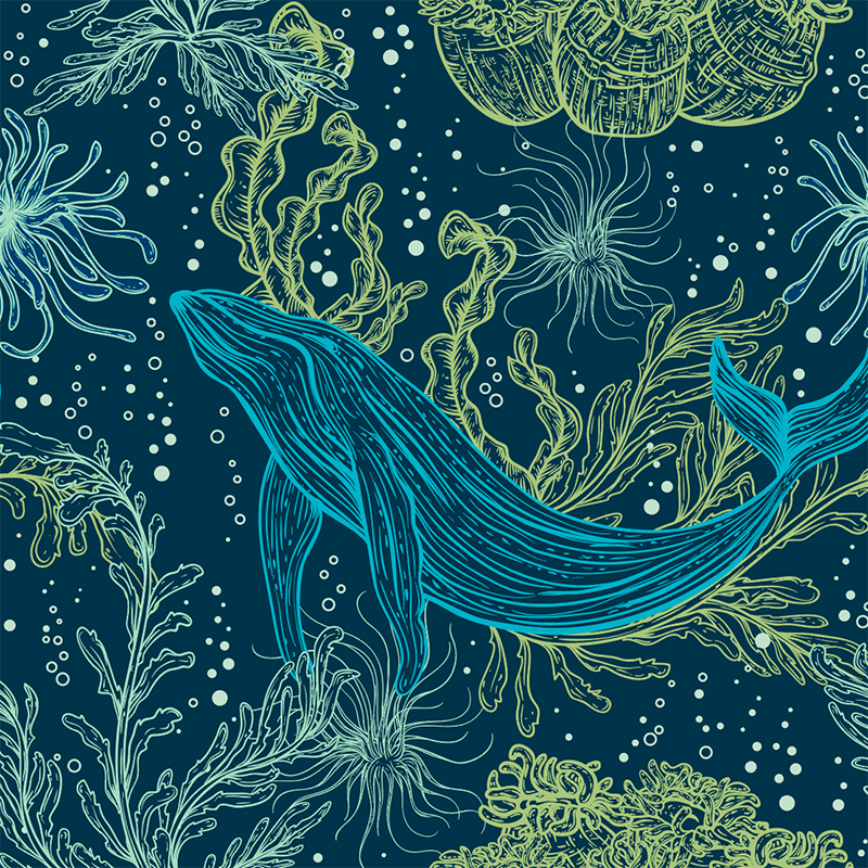 20oz-tkwide-with-twist-cap-ocean-day-f3 20oz_tkwide_bottle_seasonal_ocean_day_blue_whale_artwork_square.png