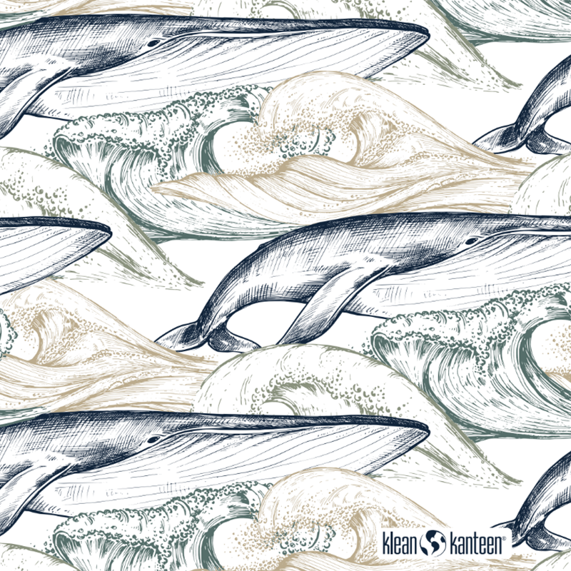 20oz-tkwide-with-twist-cap-ocean-day-f3 20oz_tkwide_bottle_seasonal_ocean_day_whale_artwork_square.png