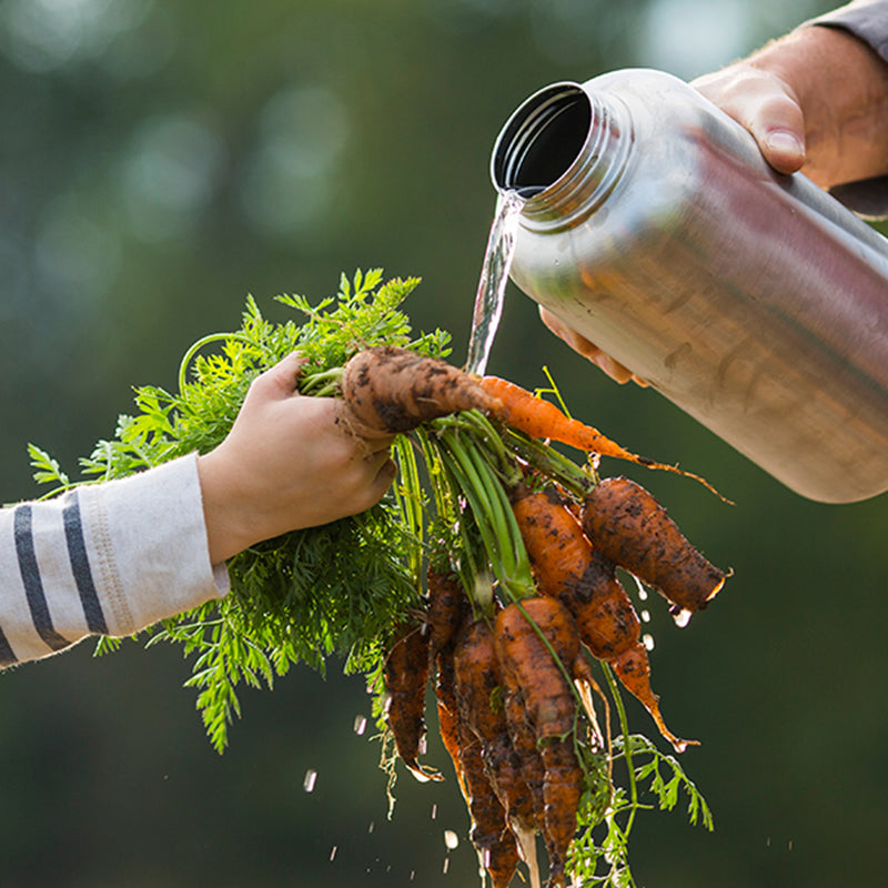 64oz-wide-with-loop-cap-d8 64oz_wide_mouth_bottle_carrots_rinse_square.jpg